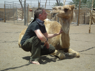 Camel Healing, Oman