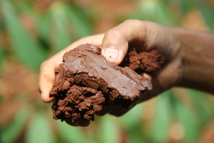 Sacred clay for Peruvian whistling vessels