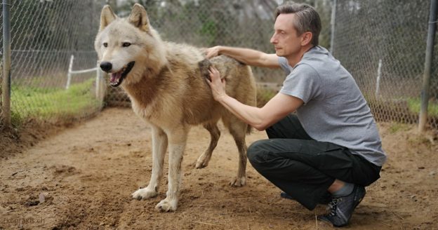 Gray Cloud and Gerald