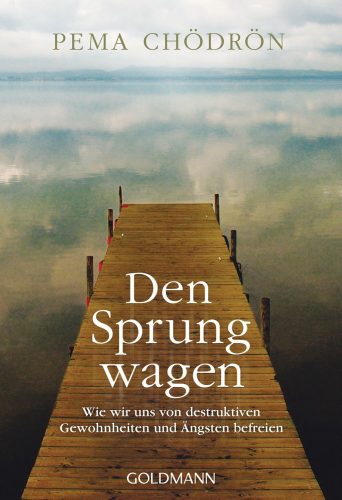 Den Sprung wagen: Wie wir uns von destruktiven Gewohnheiten und Ängsten befreien