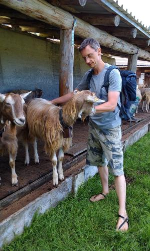 20130810 Fraek Goat21