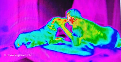 20190411 115646 2 (1)