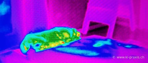 20190411 115851 Nitro After