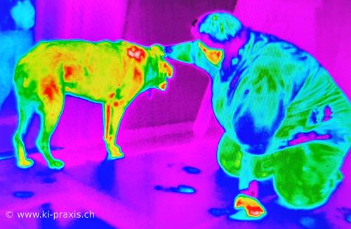 20190411 115926 Nitro Before