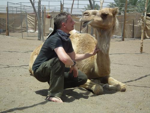 Camel Healing