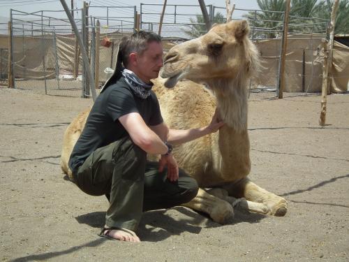 Camel Healing