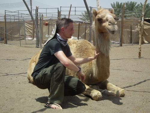 Camel Healing