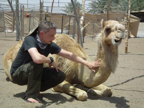 Camel Healing