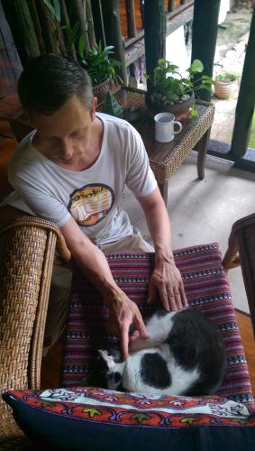 Cat healing in the jungle