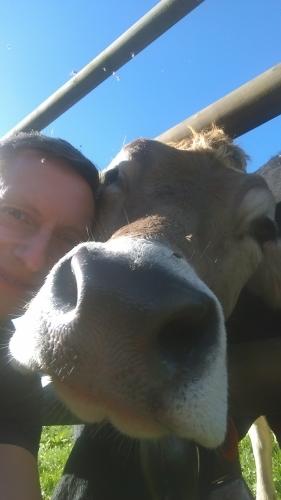 Cow Love