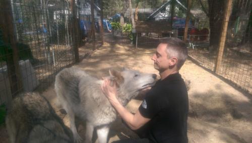 Wolf Love