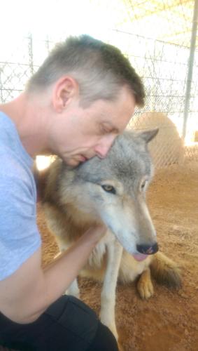 Wolf Love