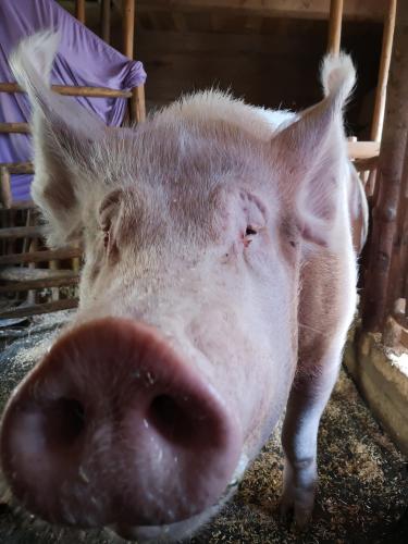 IMG 20190927 145846 1