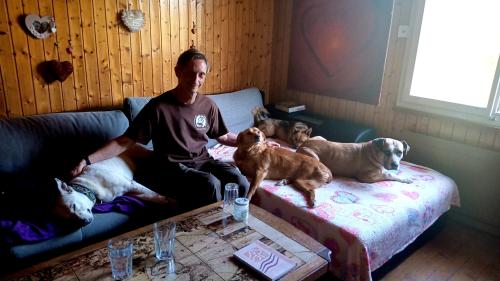 Nico, Dogs and Me