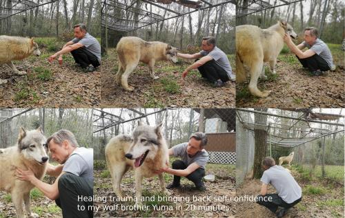 YumaTransformationWithText (1)