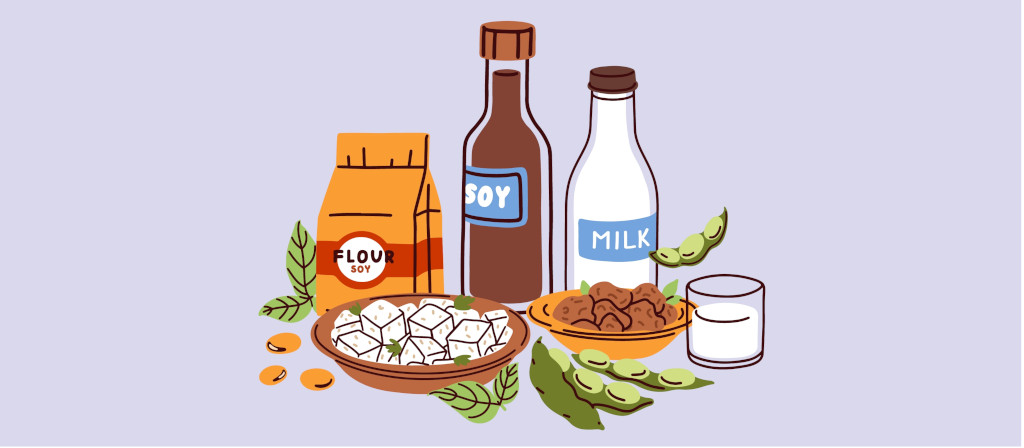 Soja-Produkte Illustration